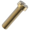 Aged Brass Slotted Cheese Head Screw M2.5 x 10mm (10 Pack) Aged Brass Slotted Cheese Head Screw M2.5 x 10mm (10 Pack)